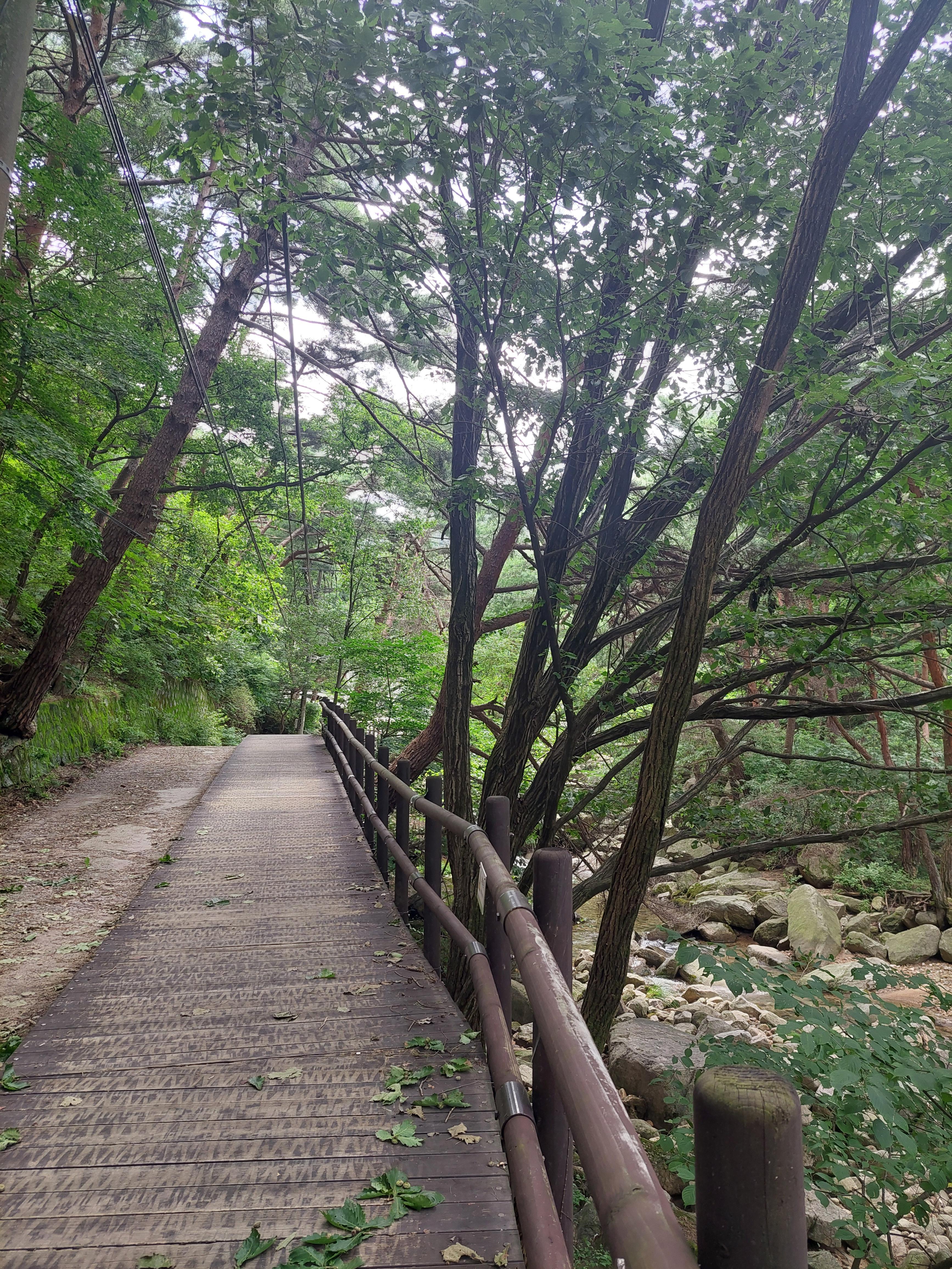 대남문