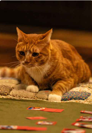 영화 좀비딸 상영관 예매하기