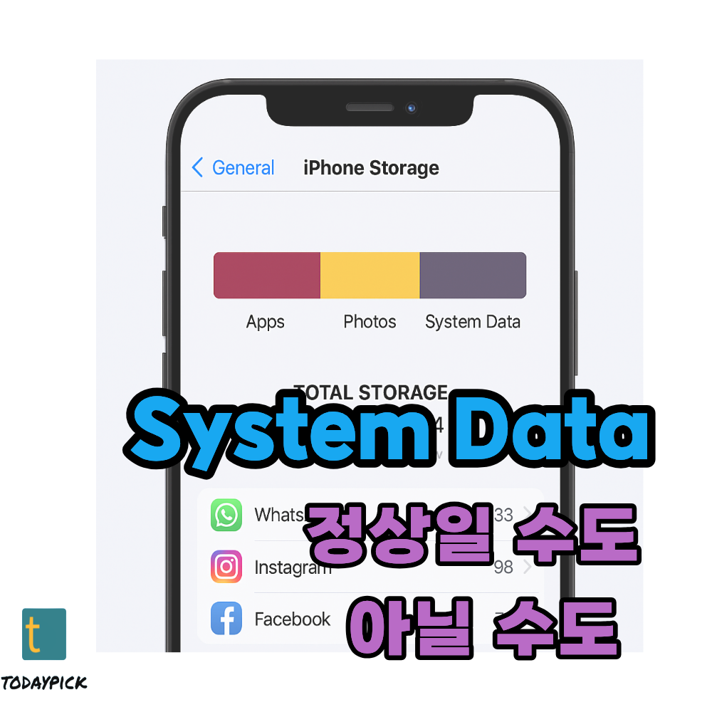 아이폰 System Data, 정상일까 문제일까