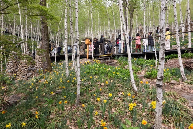 화담숲 예약 방법과 방문 팁 총정리