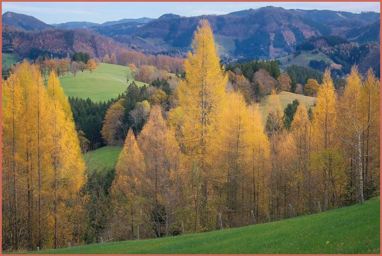 정기예금 금리 가장 높은곳