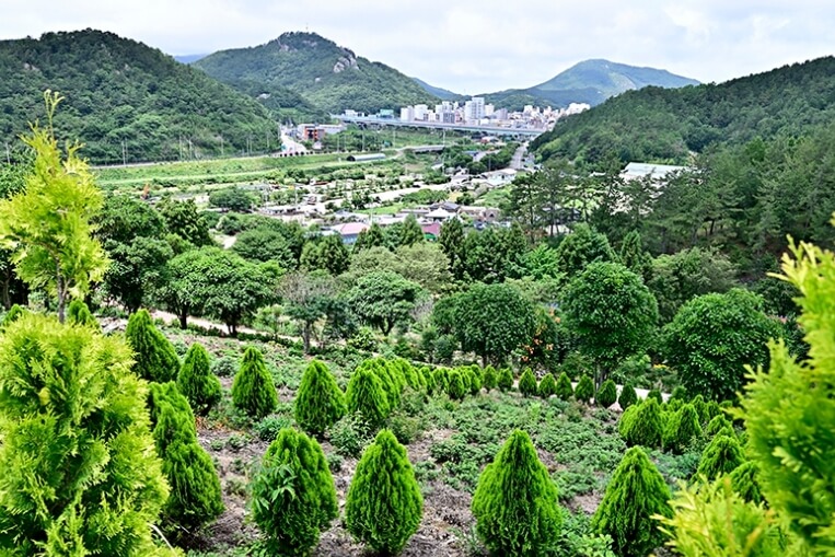 고흥 가볼만한곳 베스트 10