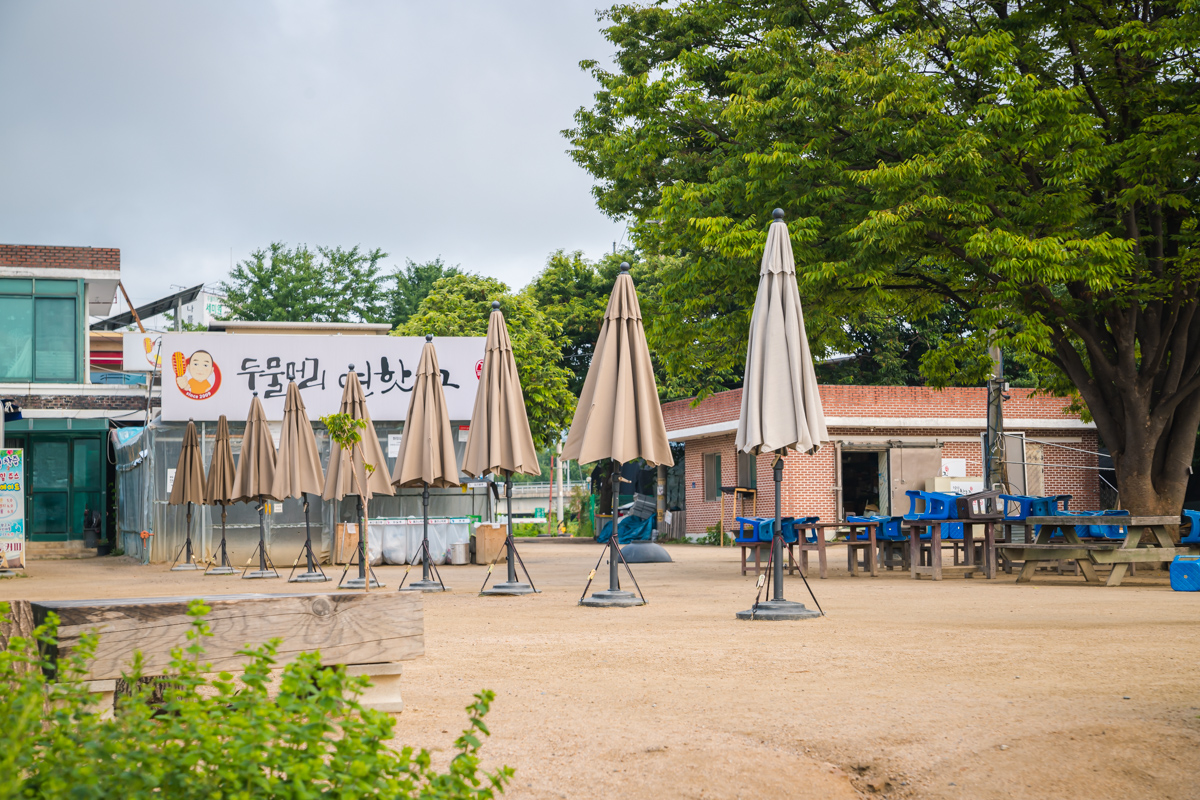 두물머리 연 한도그