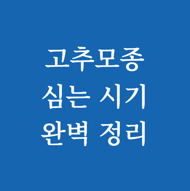 고추모종 심는 시기 썸네일