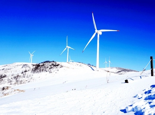 대관령-하늘목장-설경