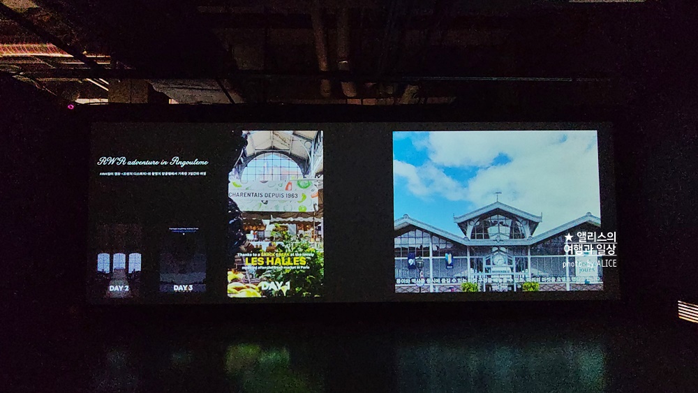 우연히 웨스 앤더슨 전시 추천, 그라운드 시소 성수