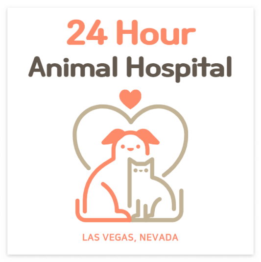 24 Hour Animal Hospitals in Las Vegas NV