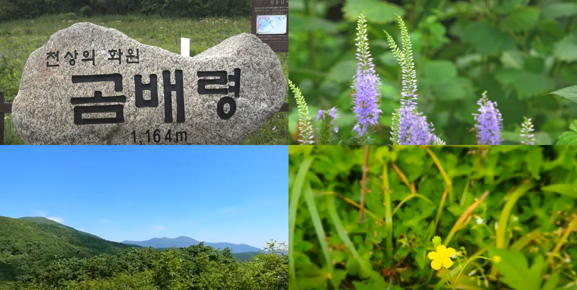 곰배령 예약하기