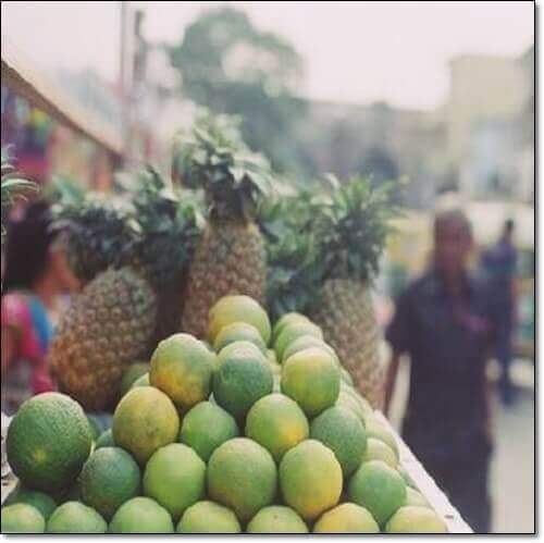 청자몽 먹는 법