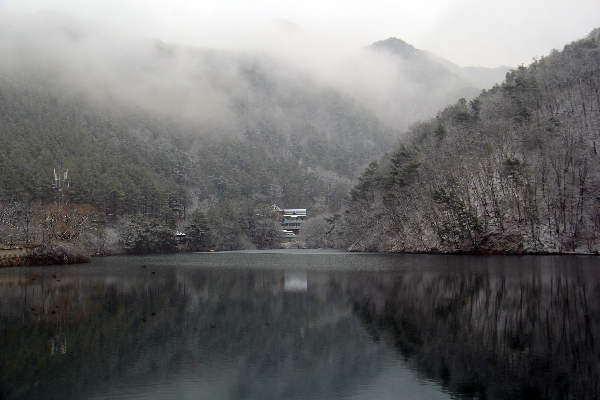 충청권 겨울에 걷기 좋은 숲길 & 트레킹 추천 BEST 7