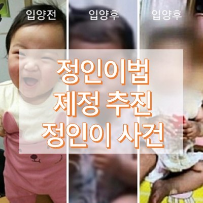 정인이법 제정