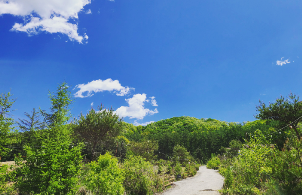경기-포천-아롱별-캠핑장-사진-입니다.