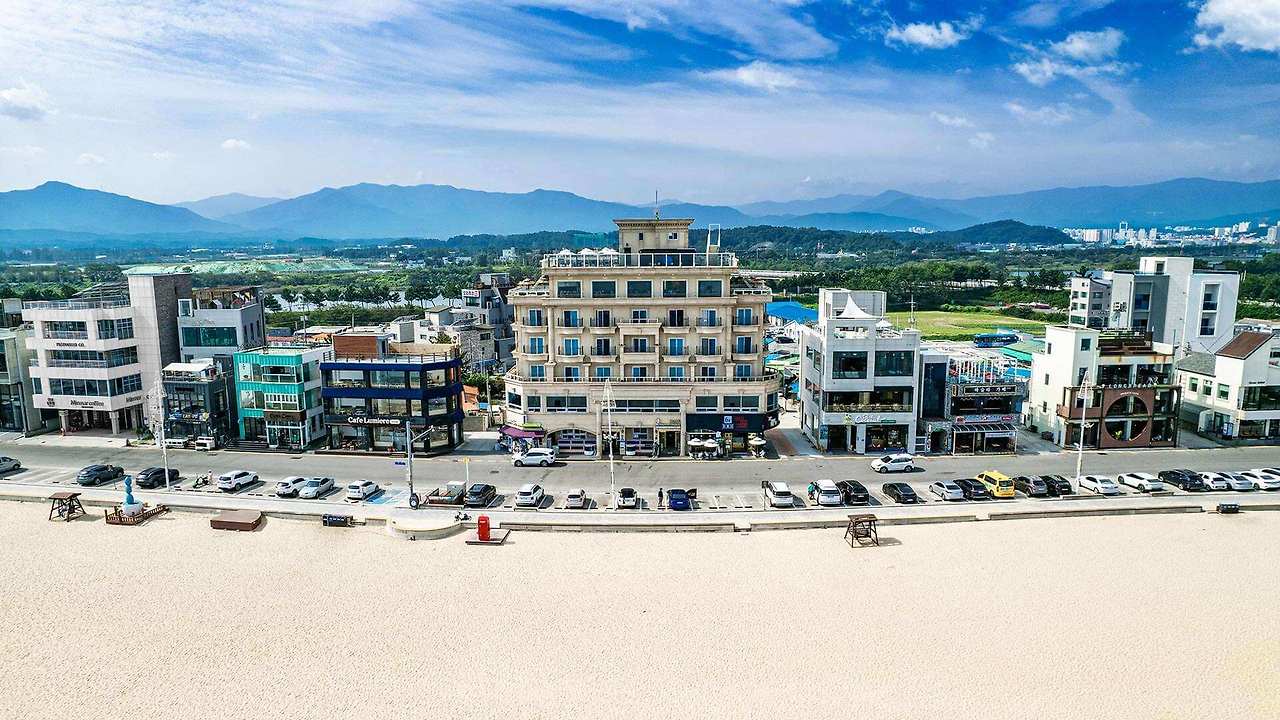 강릉 사근진 해변 유채꽃밭