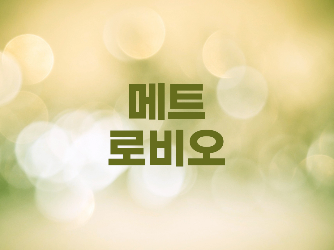 메트로비오 천주교 남자세례명