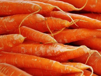 abc 주스 레시피 당근