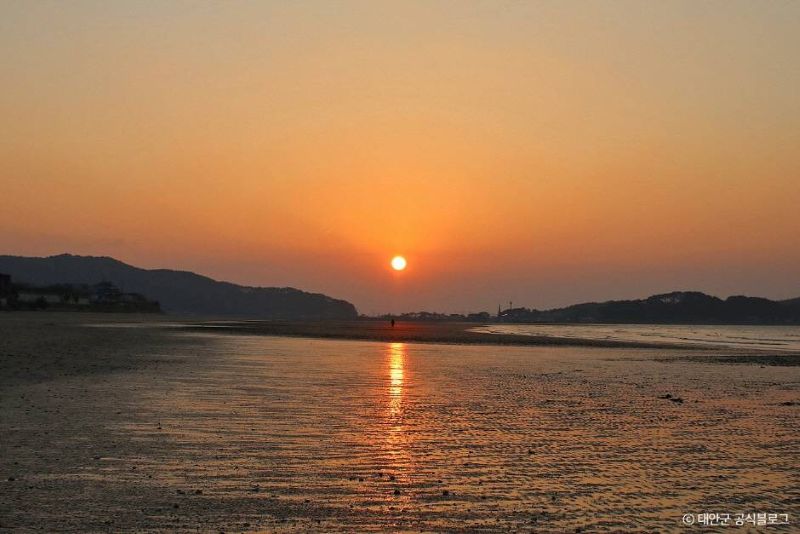 태안_신두리해수욕장 (2)