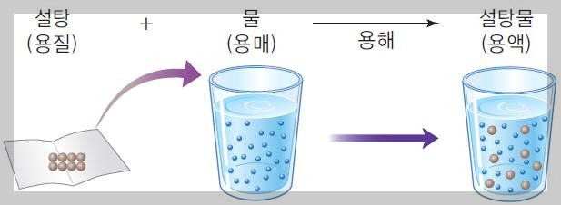 용매 용질 용액