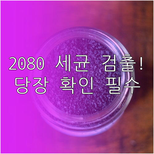 세균 기준치 초과 2080 핑크솔트 ..