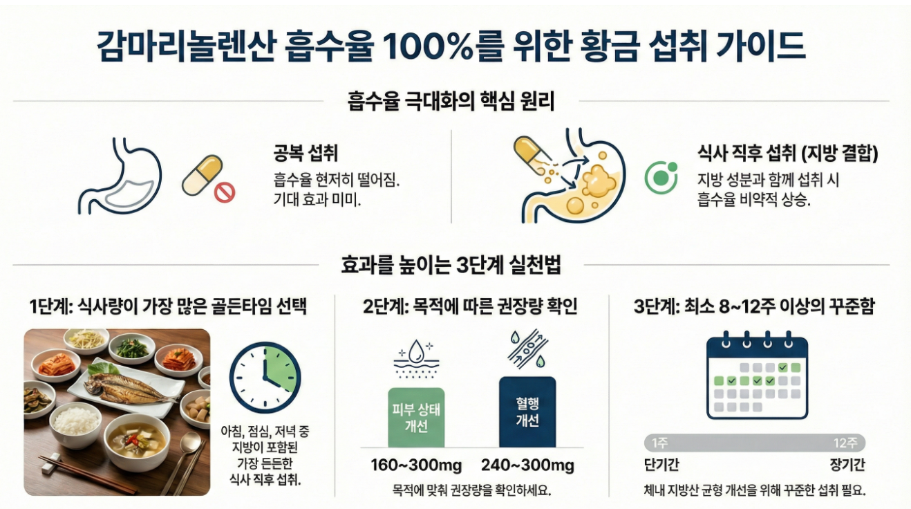 감마리놀렌산 100% 흡수를 위한 섭취 방법 인포그래픽