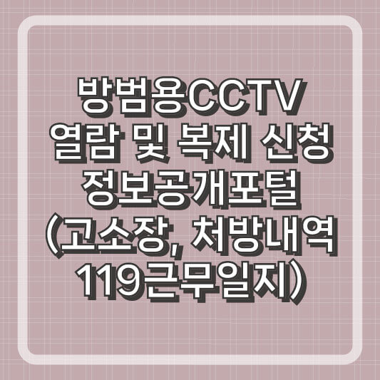 방범용 CCTV 열람 및 확보하는 방법 정보공개포털(고소장, 처방내역, 119근무일지) 생활문제 해결정보 간소화서비스