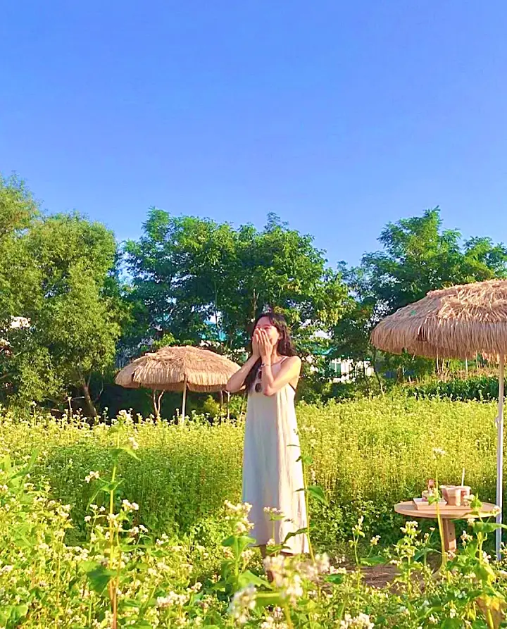 생방송오늘저녁 양양 인구해수욕장 죽도해변 맛있는 브런치 디저트 카페 추천 메밀 크림 라떼와 바질크림 메밀뇨끼 맛집