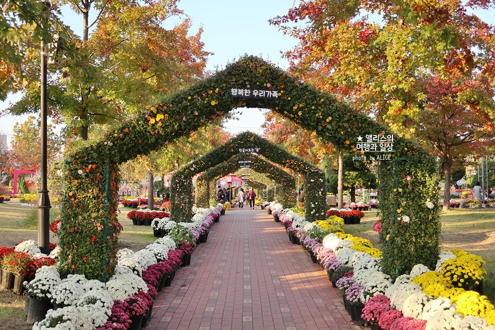 대전 유림공원 유성국화전시회