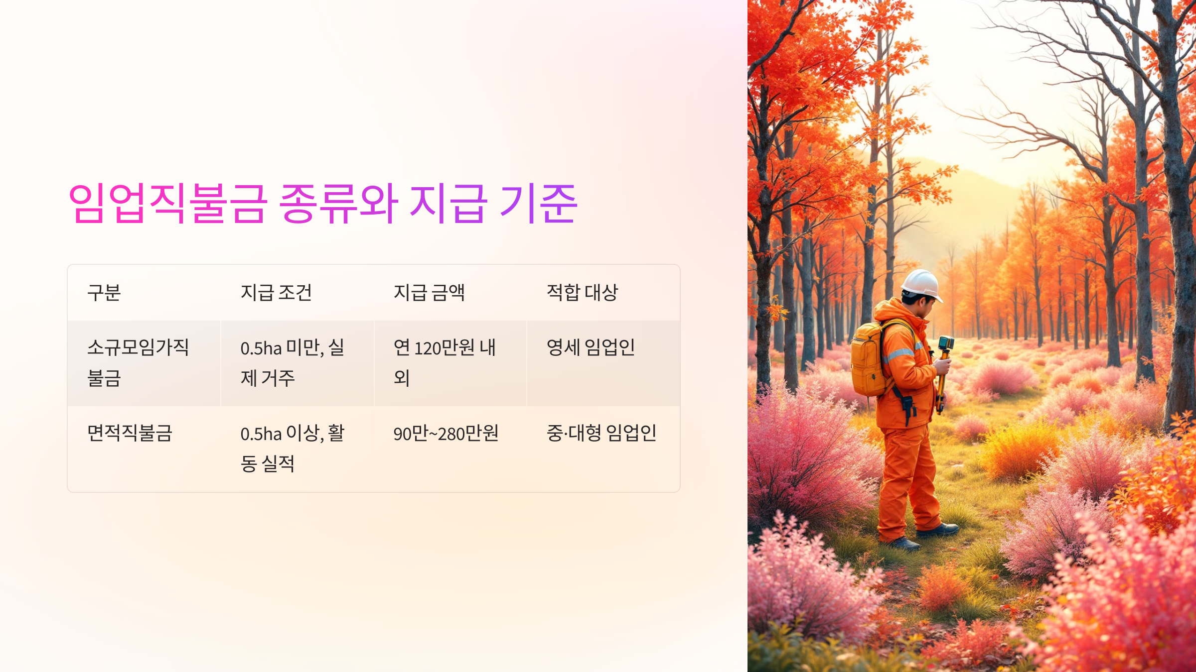 💰 임업직불금 종류와 지급 기준