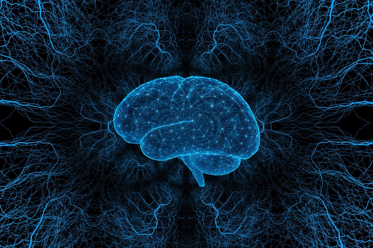 추론 오류는 언제 발생하는가 인지과학이 밝히는 &lsquo;그럴듯한 결론&rsquo;이 틀어지는 순간들