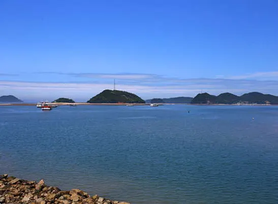 도비도