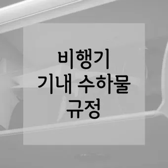 비행기 기내 수하물 반입 가능 금지 물품 2025년 기준 총정리_7