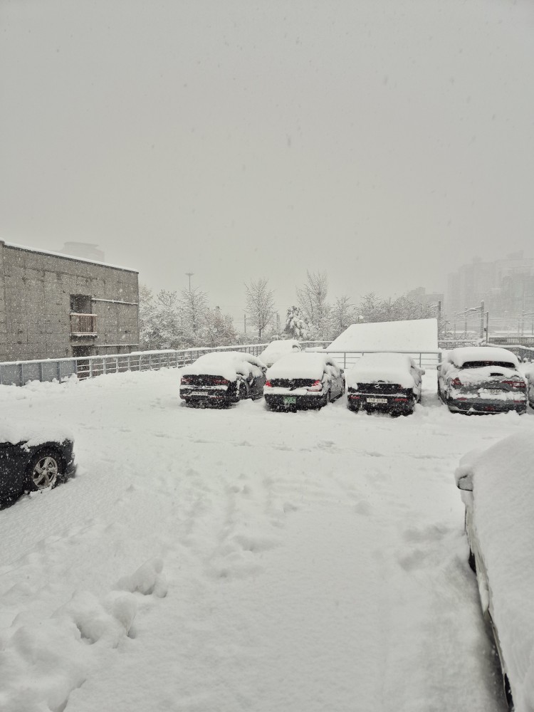 눈 내린 주차장