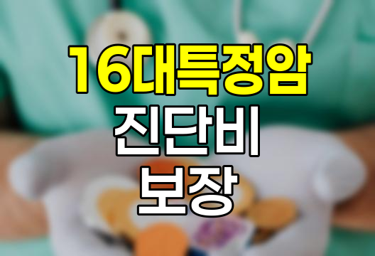 메리츠화재 16대 특정암 진단비, 포괄적 암 보장의 핵심