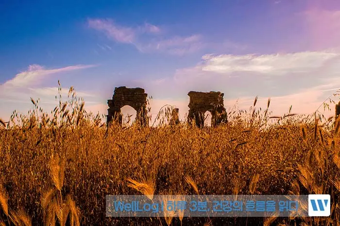 파로 효소 효능, 먹는 법