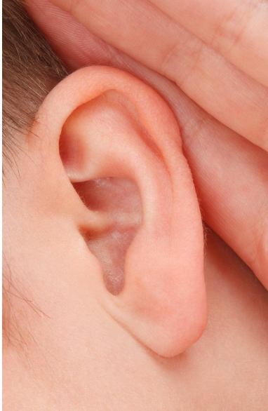 소중한 청력을 지키는 귀 건강 가이드