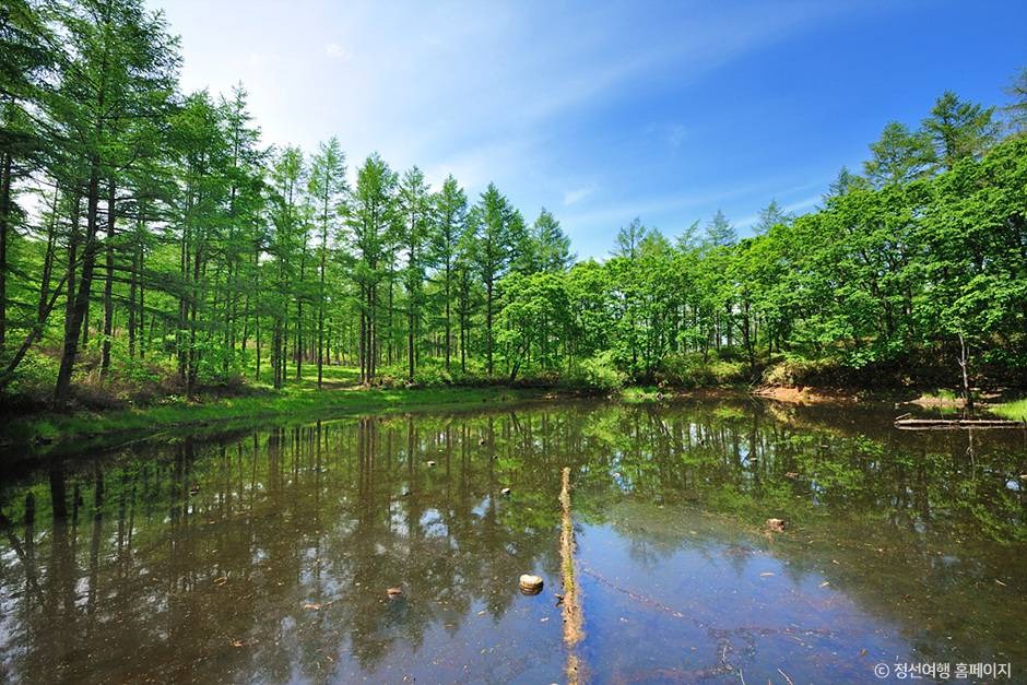 정선 도롱이연못