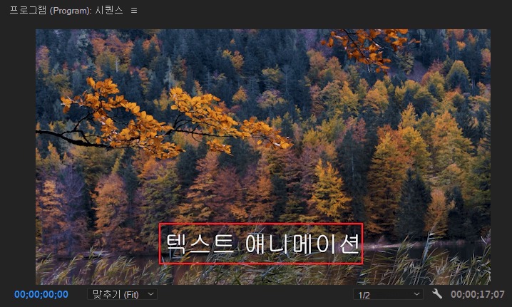 텍스트-입력