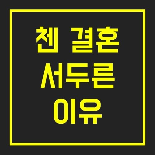 첸미희 인스타 아내