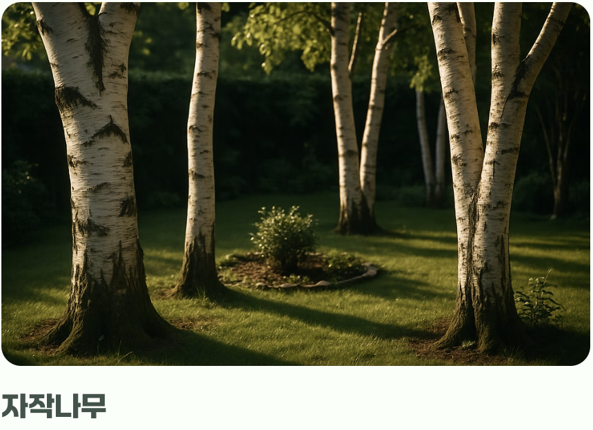 5. 당신의 정원을 위한 더 현실적인 대안