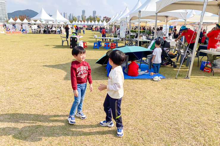 축제