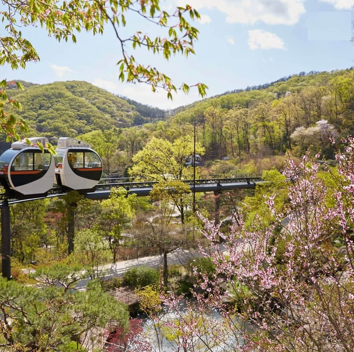 화담숲 모노레일