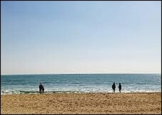 농협 체크카드 추천