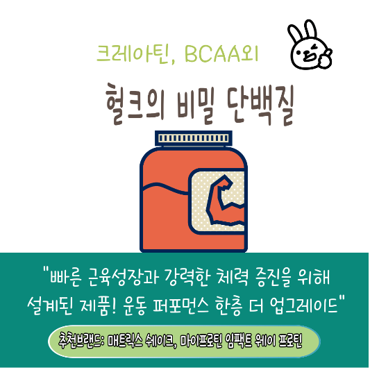 근육증가(벌크업) 단백질 보충제 추천