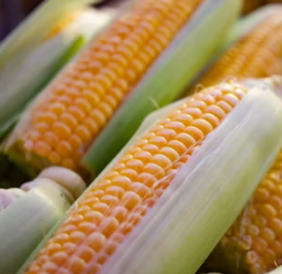 변비에 좋은 음식 해결방법 운동