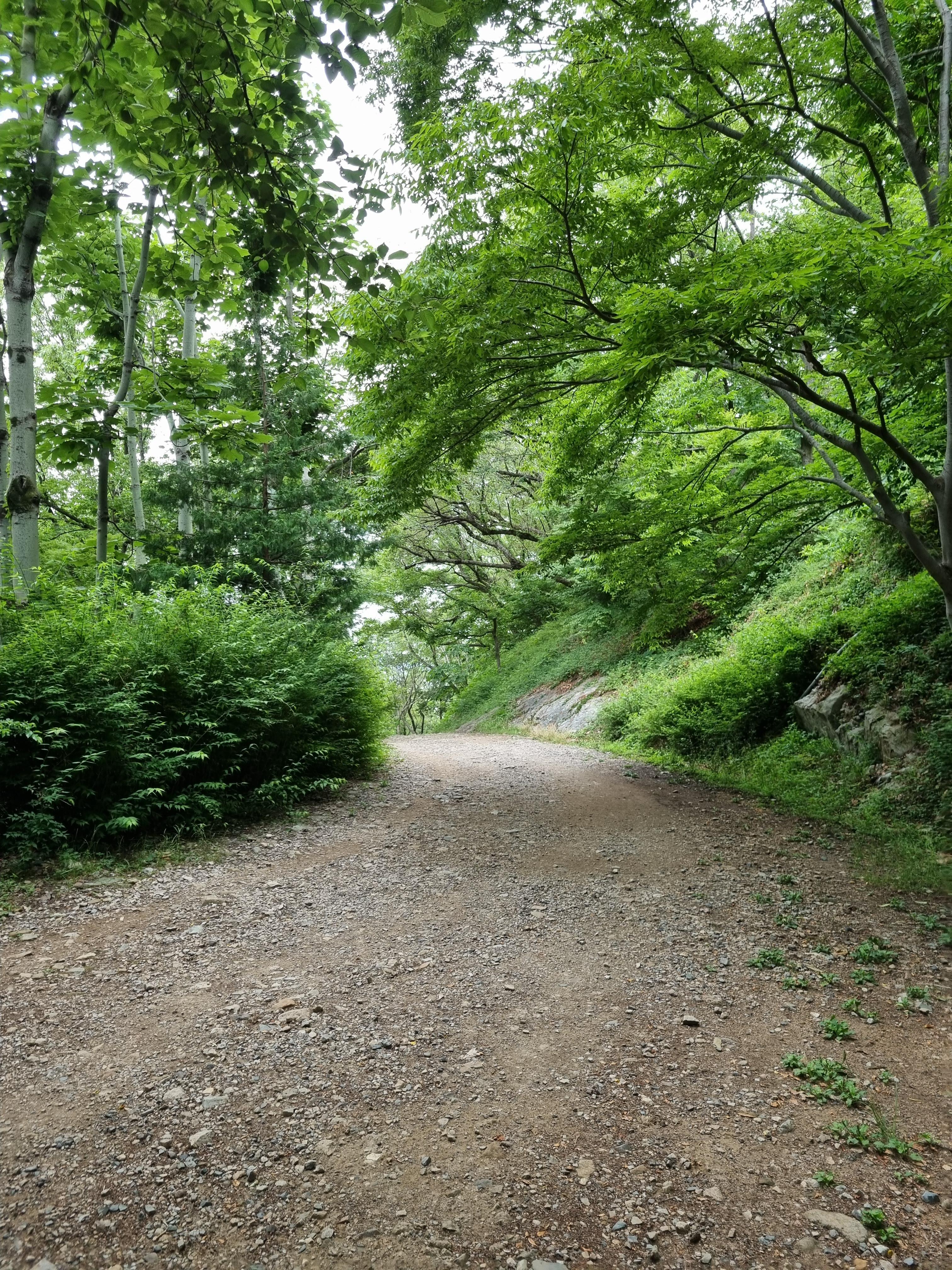 라이트비x 임도 테스트