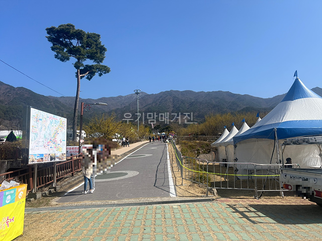 2025 구례 산수유축제 실시간 주차장