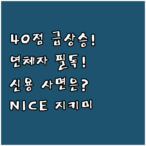 연체자 신용점수 40점 급상승 NIC..