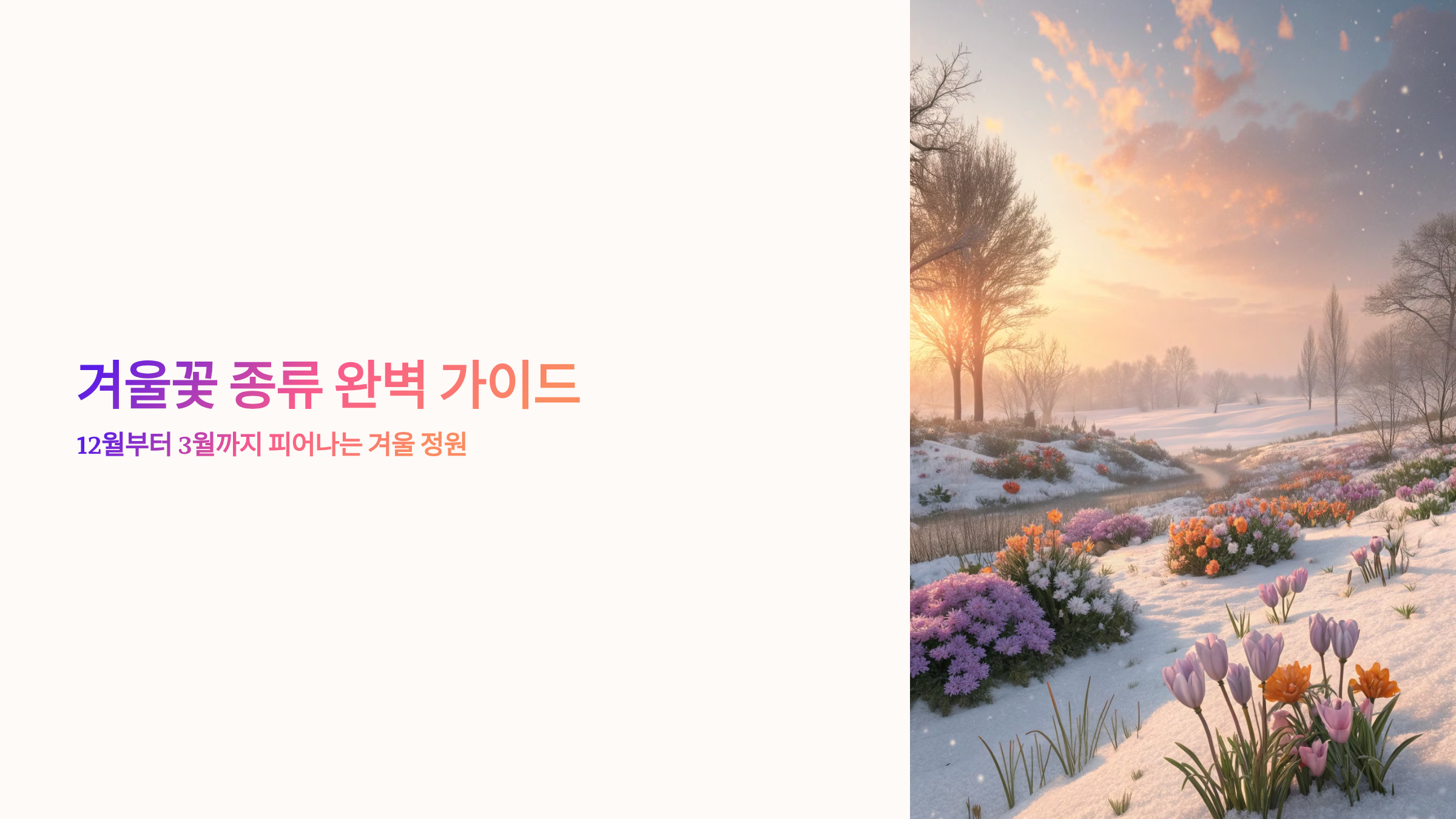 겨울꽃 종류 알아보기