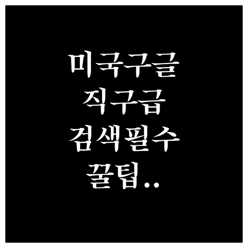 미국 구글 바로가기 주소와 검색 환경..