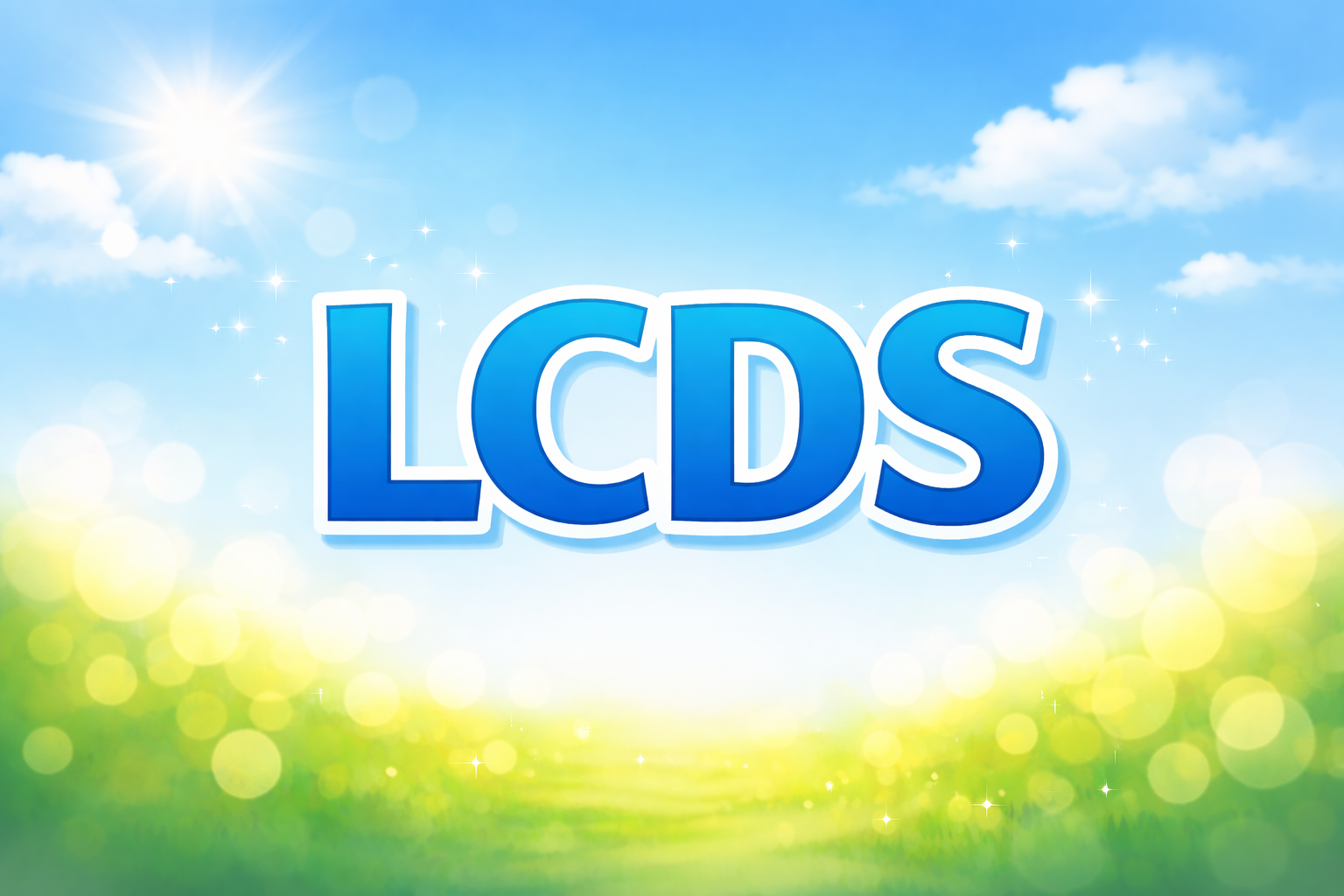 LCDS ETF 리뷰｜장기 투자용 미국 대형주 ETF