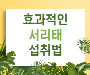 탈모 걱정? 서리태 섭취법, 이것만 알면 끝!
